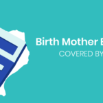 birth mother expenses by state