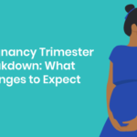 Pregnancy Trimester Breakdown: What Changes to Expect